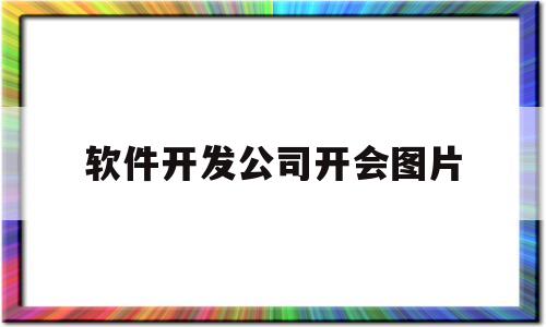 软件开发公司开会图片(软件公司开发部职责)