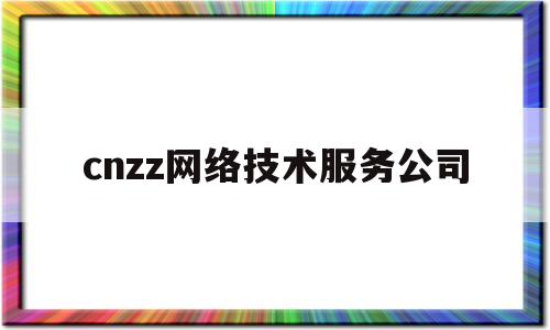 cnzz网络技术服务公司(网络科技服务公司)